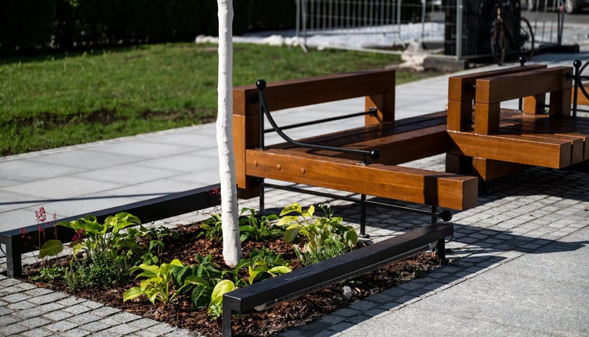 Strefa wejściowa od ulicy Świdnickiej na Promenadę Staromiejską w okolicach pomnika Bolesława Chrobrego
