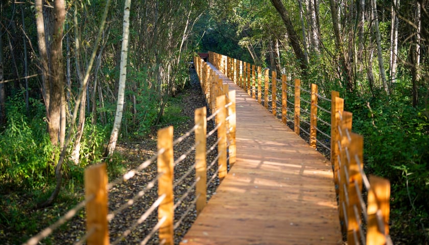 Park Smocze Uroczysko na Swojczycach