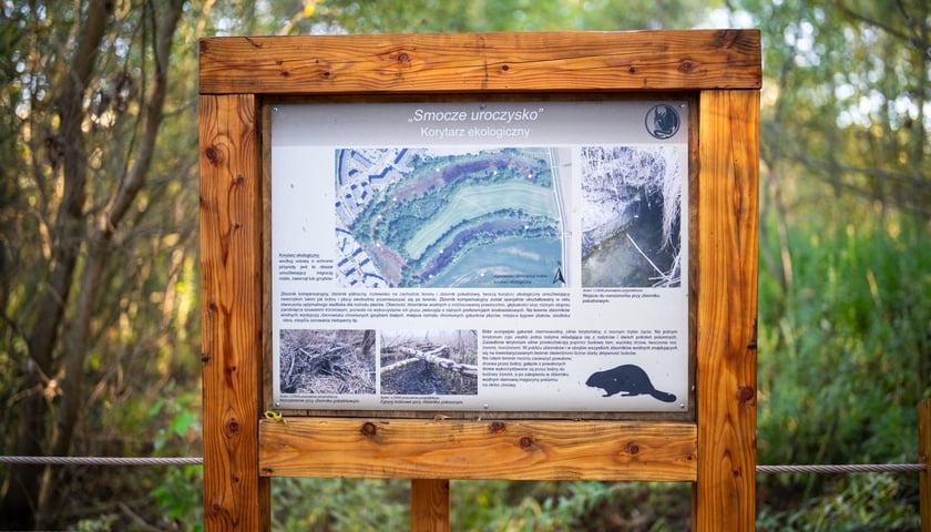 Park Smocze Uroczysko na Swojczycach