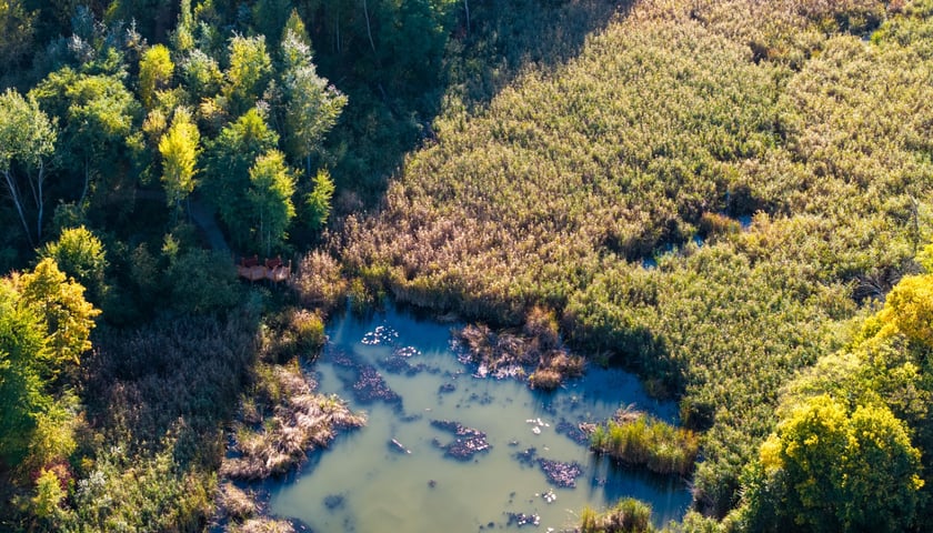 Park Smocze Uroczysko na Swojczycach