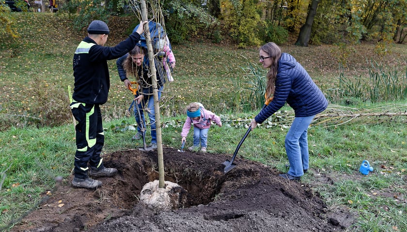 Jesienna edycja WROśnij we WROcław na Wielkiej Wyspie