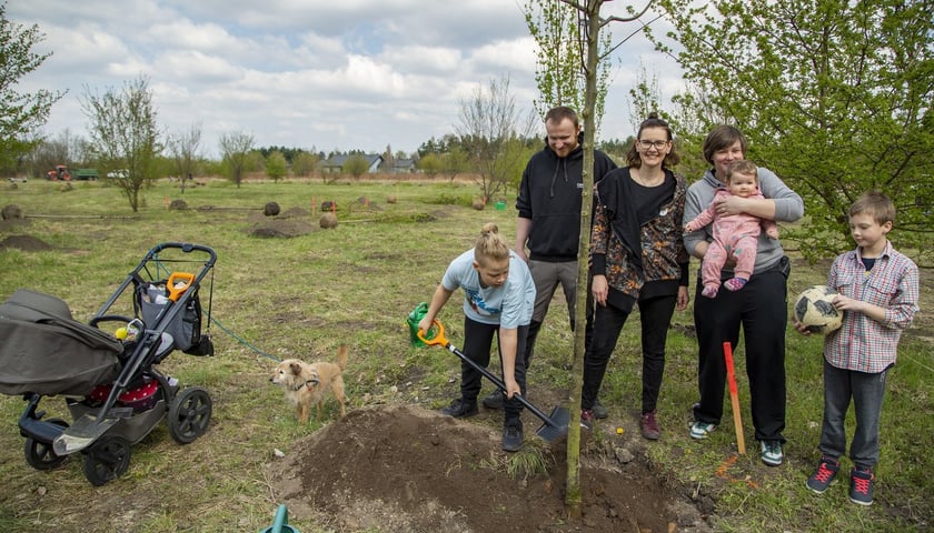 Powiększ obraz: WROśnij we WROcław na Brochowie