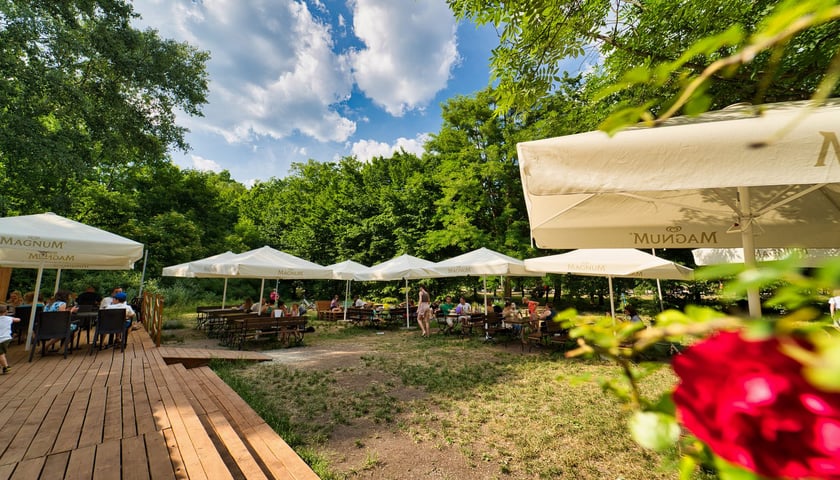 Powiększ obraz: Plaża miejska w parku Zachodnim / zdjęcie archiwalne