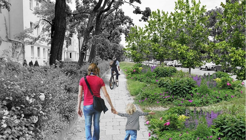 Powiększ obraz: Zielone Nadodrze - plac Staszica, wizualizacja