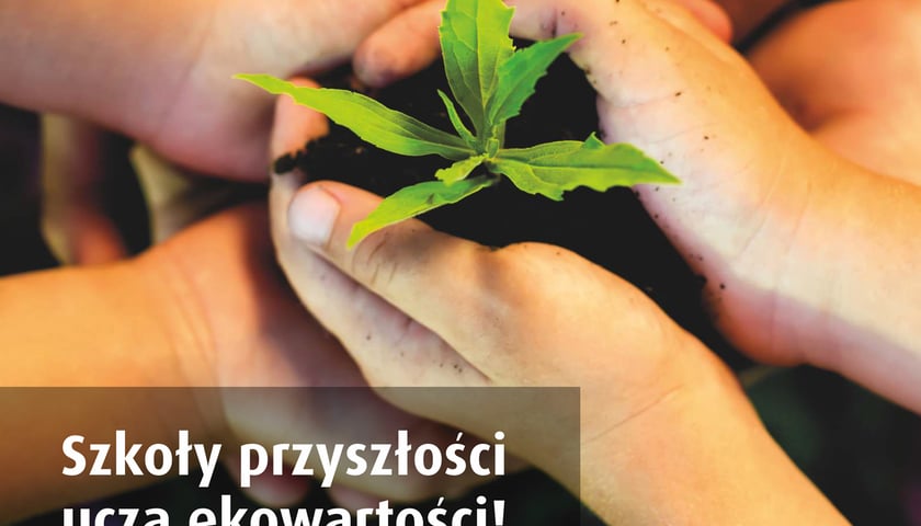 Czy Wrocław może być „zielonym domem”?
