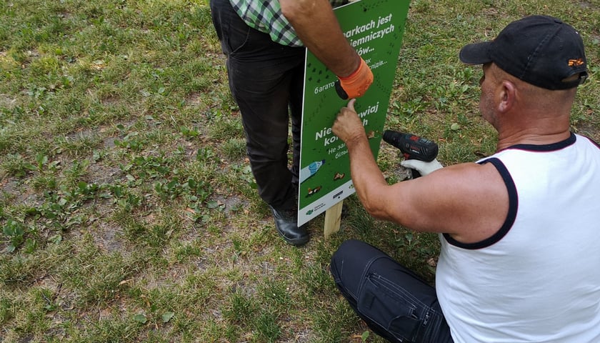 Montaż tabliczki edukacyjnej o nieśmieceniu w parku