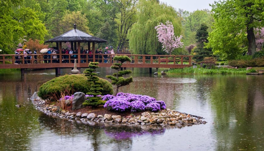 Park Szczytnicki we Wrocławiu