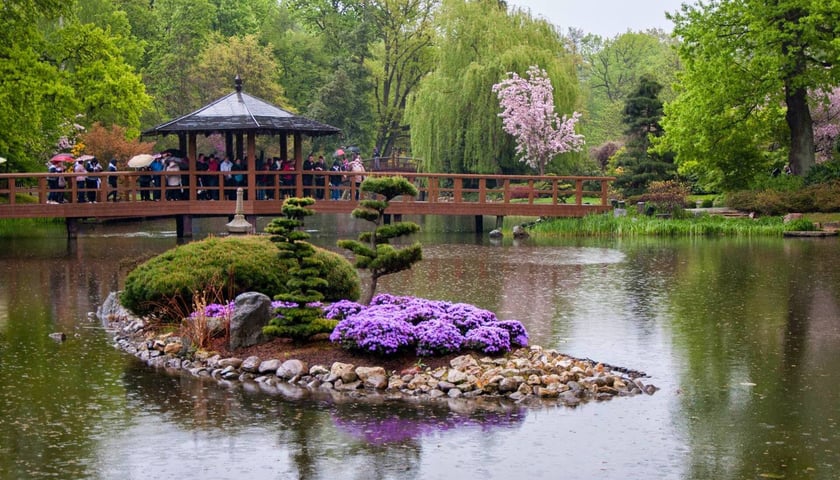 Powiększ obraz: Park Szczytnicki we Wrocławiu