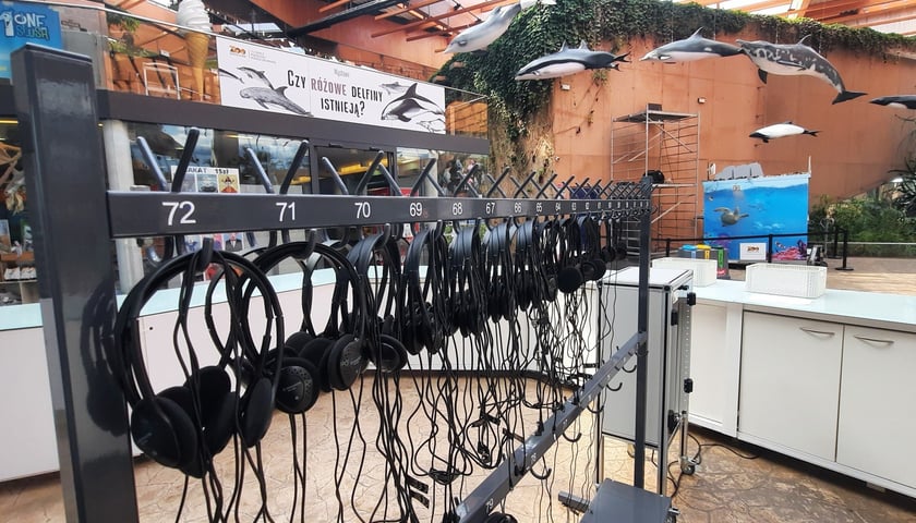 Audioprzewodniki w Afrykarium Zoo Wrocław