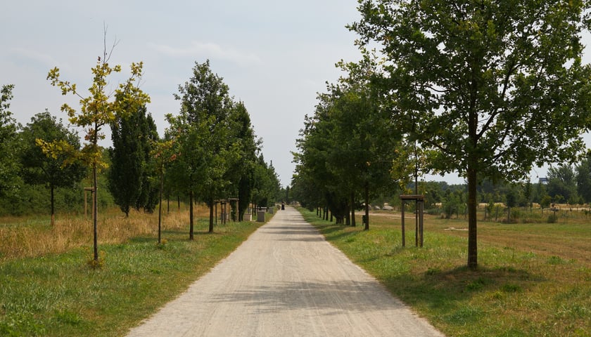 Powiększ obraz: Park Tysiąclecia we Wrocławiu