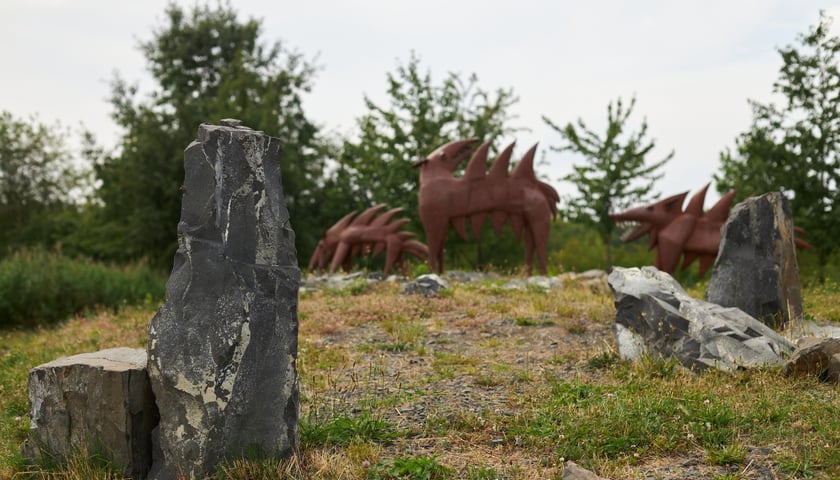 Powiększ obraz: Park Tysiąclecia we Wrocławiu