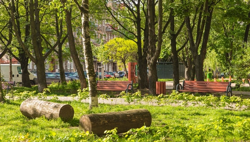 Park kieszonkowy nr 7 - podwórze pomiędzy ulicami Wygodną, Nowowiejską i Żeromskiego