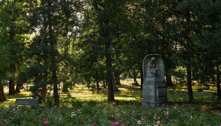 Aniołek na nagrobku – jedna z nielicznych pozostałości po cmentarzu i ścianka wspinaczkowa dla dzieci