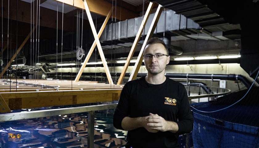 Jakub Kordas, kierownik Akwarium w ZOO Wrocław