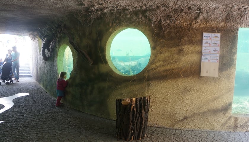 Odrarium w ZOO Wrocław