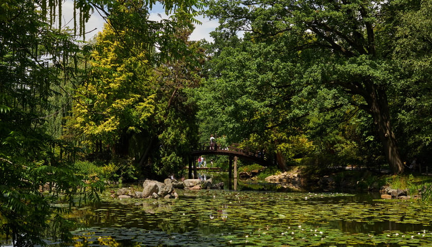 Park Szczytnicki we Wrocławiu