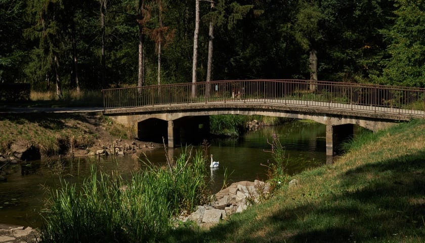 Park Wschodni we Wrocławiu 