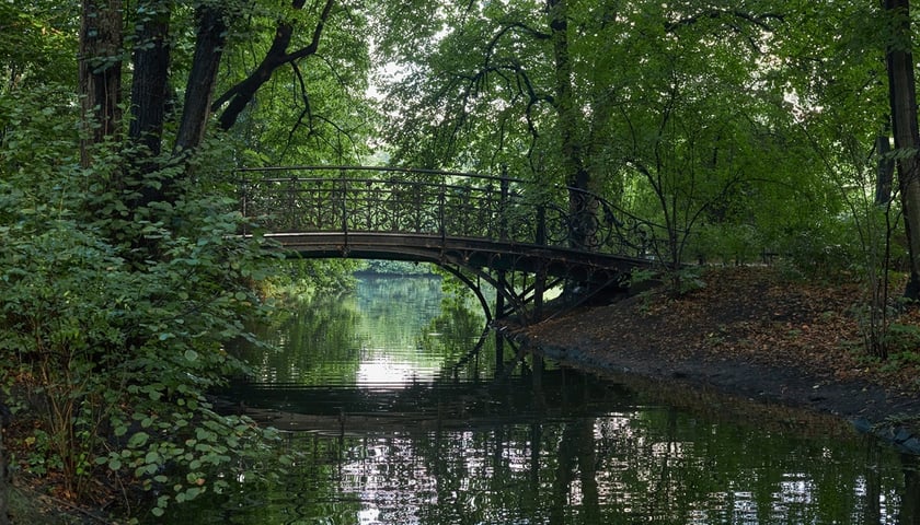 Park Południowy we Wrocławiu