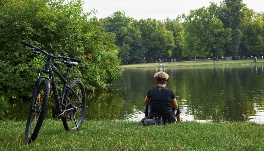 Park Południowy we Wrocławiu