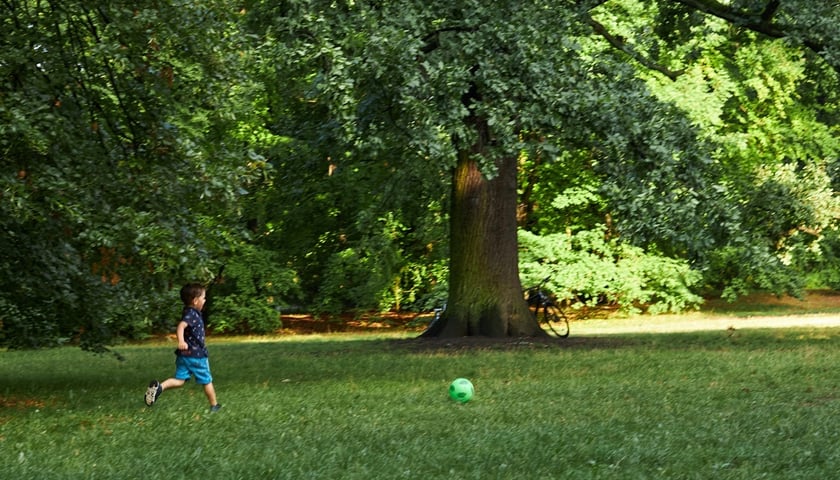 Park Południowy we Wrocławiu