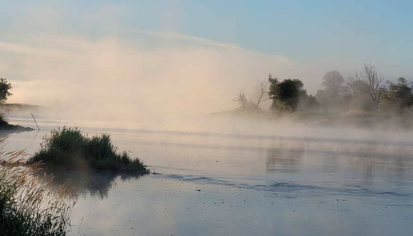 Powiększ obraz: Ekolodzy będą walczyć, żeby Odra znów odżyła...