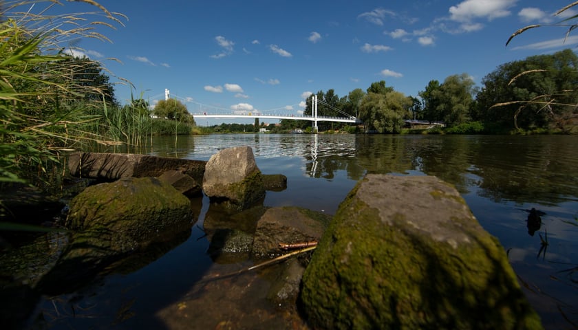 Odra we Wrocławiu, zdjęcie ilustracyjne