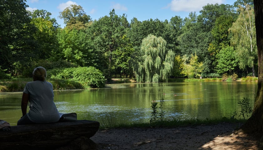 park Leśnicki