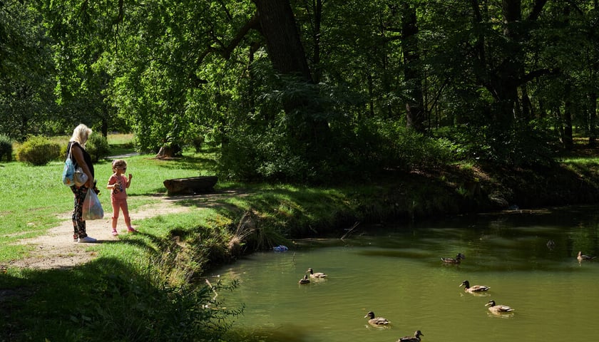 park Leśnicki