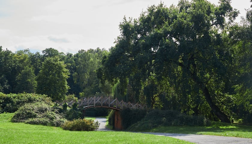 Powiększ obraz: Park Złotnicki we Wrocławiu