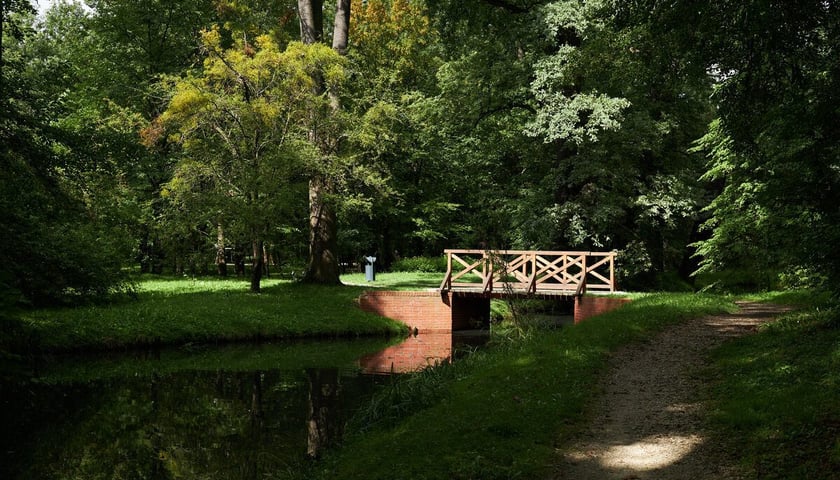 Park Strachowicki to oaza spokoju w zachodniej części miasta. Na zdjęciu jeden ze stawów w parku