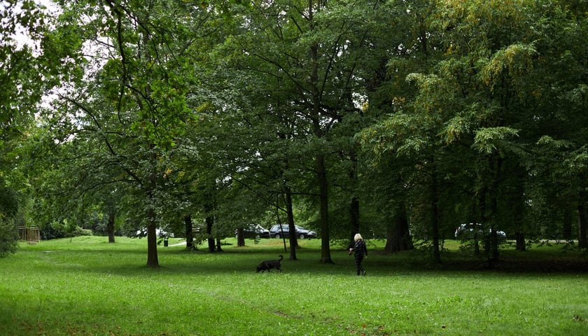 Park Strachowicki kusi spokojem i pięknymi stawami