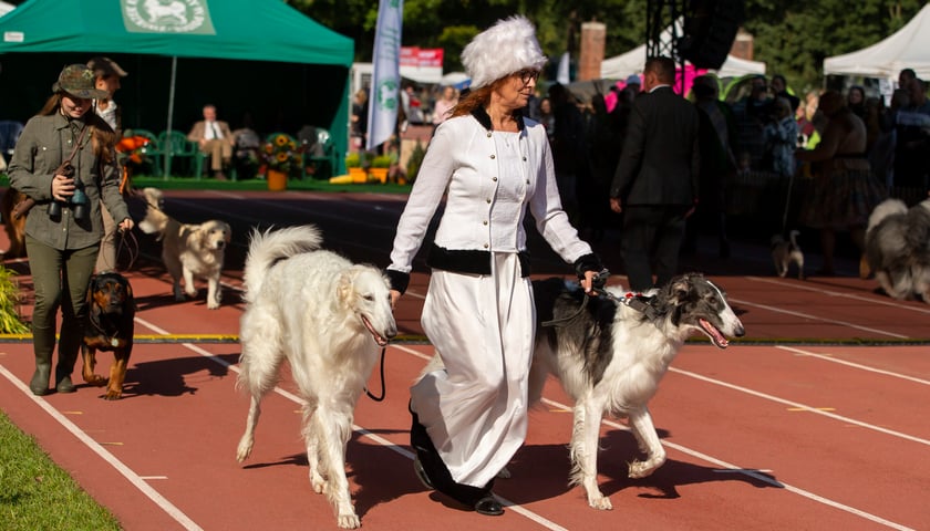 Psy, które można zobaczyć przez weekend, są zjawiskowo piękne. Na zdjęciu kobieta prowadzi swoje dwa psy na smyczy, na wybiegu. 