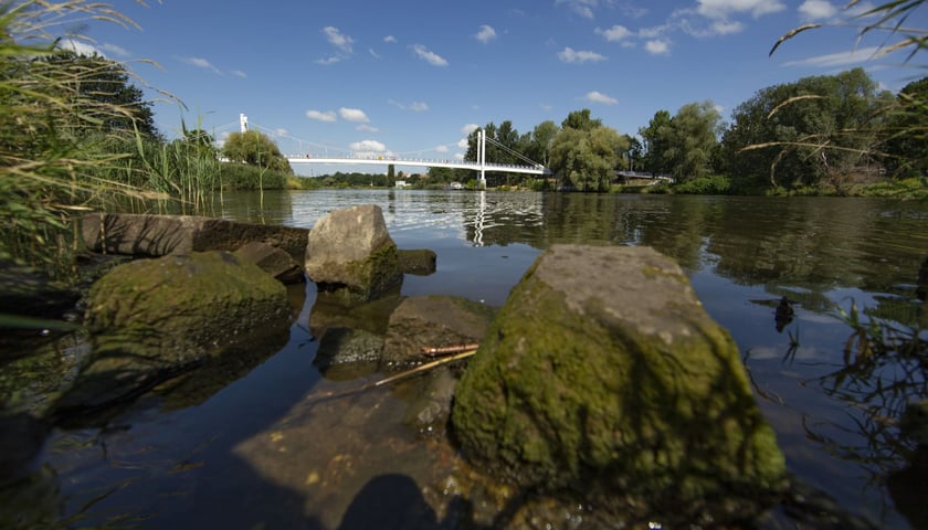 Na zdjęciu Odra we Wrocławiu. Zdjęcie ilustracyjne