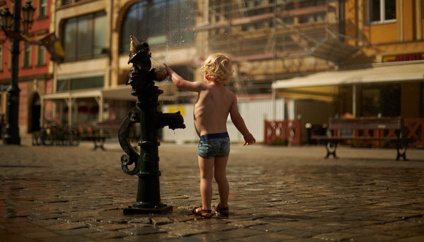 Na zdjęciu małe dziecko przy miejskim zraszaczu na wrocławskim Rynku