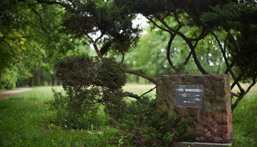 najczęściej park Biskupiński, inaczej zwany Nadodrzańskim