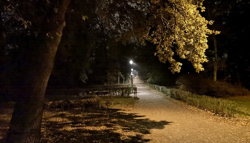 Na zdjęciu oświetlony nocą park