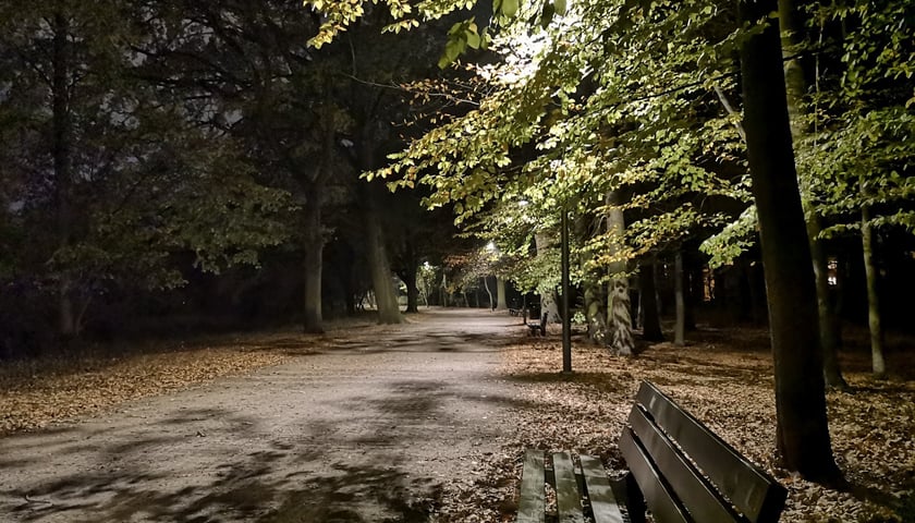 Powiększ obraz: Miasto oszczędza i wyłącza nocą oświetlenie w parkach, na zieleńcach i skwerach