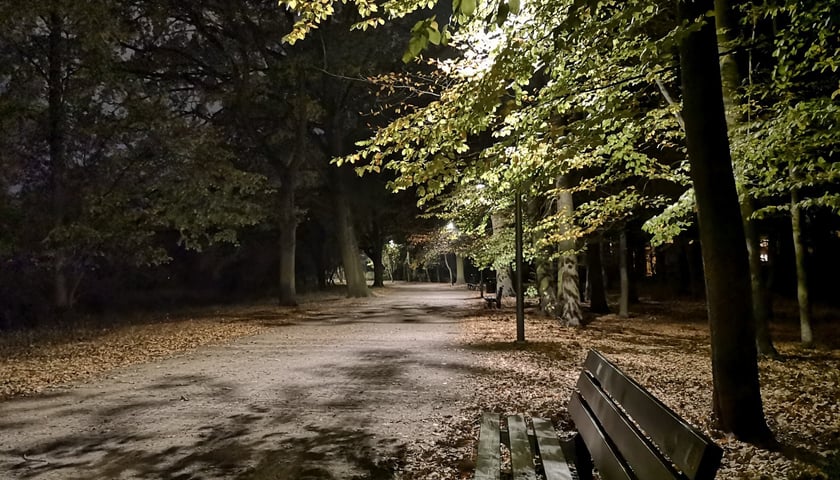 Miasto oszczędza i wyłącza nocą oświetlenie w parkach, na zieleńcach i skwerach