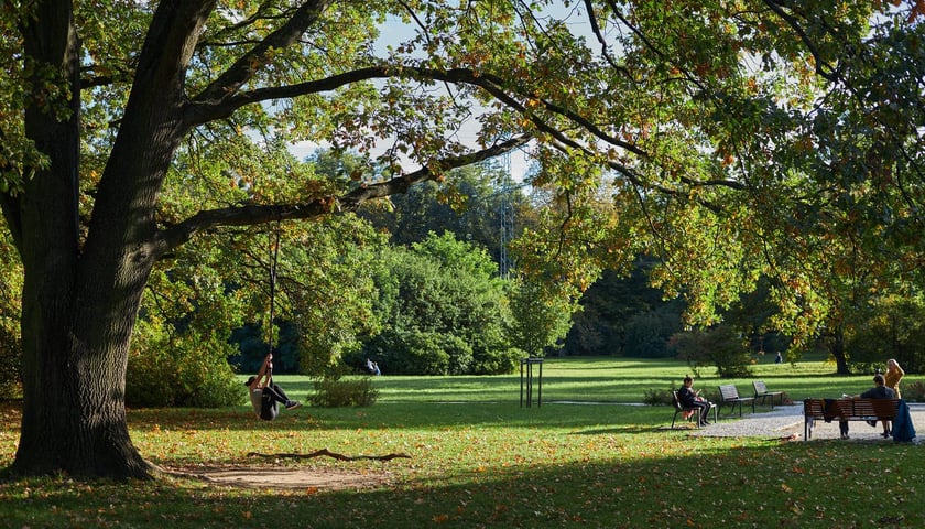 na zdjęciu park Popowicki we Wrocławiu, na polanie na ławce osoba czytając książę, druga osoba buja się na linie zwisającej z drzewa