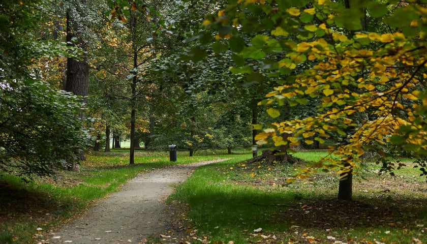 Park Popowicki we Wrocławiu