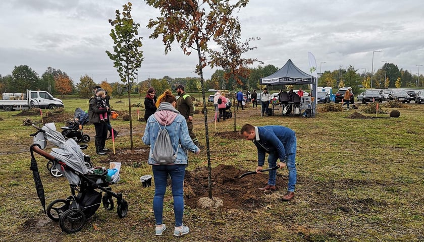 Na zdjęciu sadzący drzewko dla dziecka uczestnicy WROśnij we WROcław - jesień 2022 r.