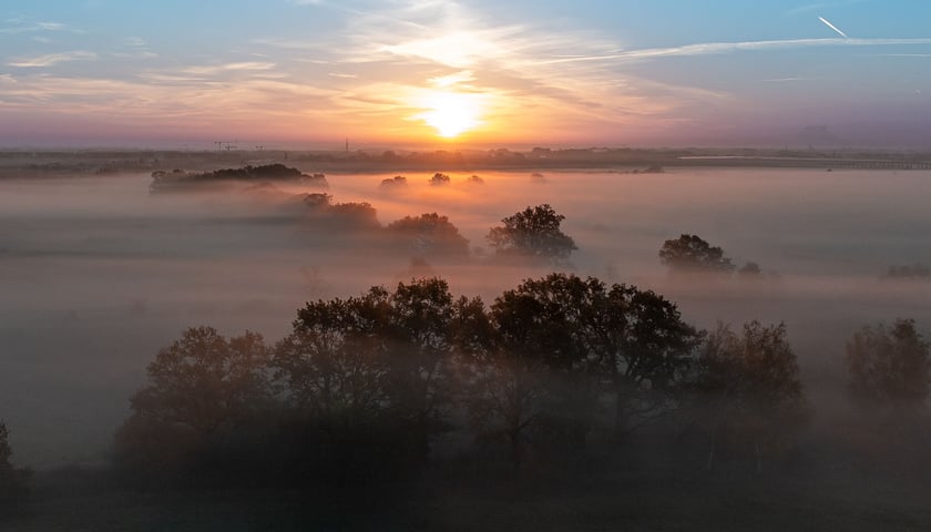 na zdjęciu pola irygacyjna na Osobowicach. Zdjęcia z lotu ptaka