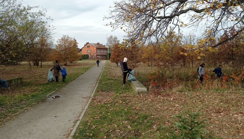 Mieszkańcy Maślic sprzątali w weekend osiedle. Posadzili też drzewa i krzewy