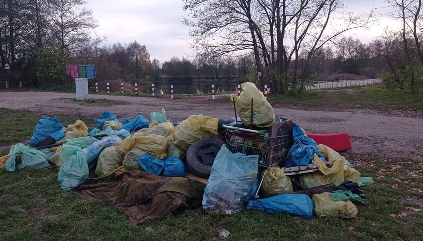 Mieszkańcy Maślic sprzątali w weekend osiedle. Posadzili też drzewa i krzewy