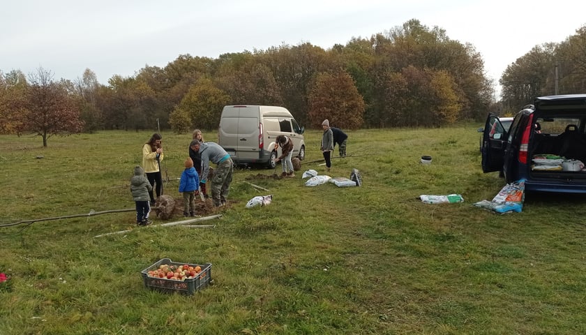 Mieszkańcy Maślic sprzątali w weekend osiedle. Posadzili też drzewa i krzewy