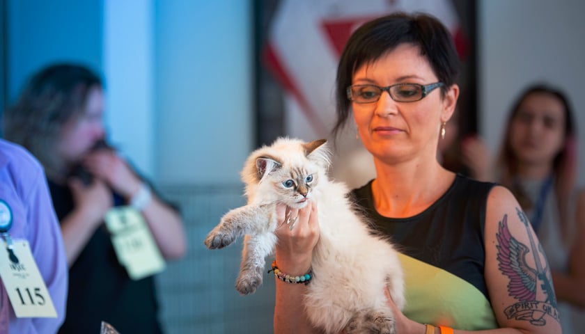 W niedzielę, 20 listopada, jedną z atrakcji Dolnośląskich Targów Zoologicznych będzie Międzynarodowa Wystawa Kotów Rasowych. Na zdjęciu widać panią, która trzyma kota.
