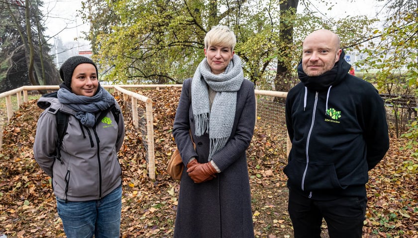 Na zdjęciu od lewej: Karolina Woldemichael-Cyganik, ogrodnik miejski obszaru Stare Miasto, Katarzyna Szymczak-Pomianowska, dyrektor Departamentu Zrównoważonego Rozwoju UMW, Jacek Mól, dyrektor ZZM we Wrocławiu