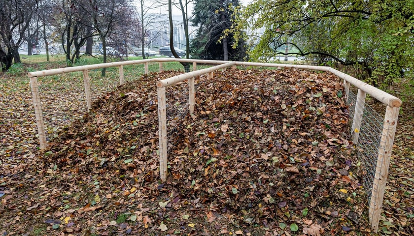 Na zdjęciu kompostownik w parku Słowackiego we Wrocławiu