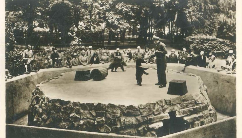 Przedwojenne pocztówki z wrocławskiego zoo