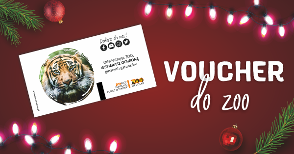 Powiększ obraz: Voucher świąteczny, czyli roczna karta do Zoo Wrocław to dobry pomysł na prezent na Boże Narodzenie